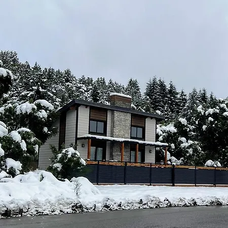 Los Maitenes San Martin de los Andes Exterior photo